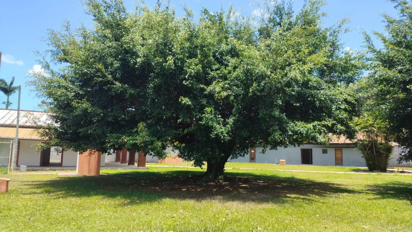 Ambiente verde e acolhedor da Clínica Ressignificar